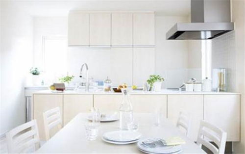 紫竹林膩子粉 進(jìn)口原料鑄就卓越品質(zhì)，打造行業(yè)口碑品牌與代理機遇